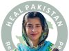 پاکستان کی غیرروایتی جنگی حکمتِ عملی: کم وسائل کے باوجود بڑا پیغام