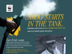 پاکستان میں فضائی آلودگی سنگین سطح پر، ڈبلیو ڈبلیو ایف کا صاف ایندھن اور سخت اخراجی ضوابط نافذ کرنے کا مطالبہ