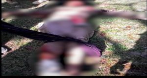 Security forces eliminate six terrorists including key commander in KP operations