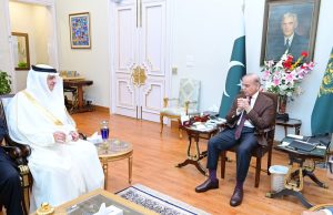 PM Shehbaz urges brotherly nations to press India for de-escalation in South Asia