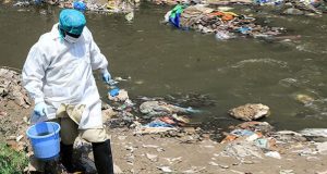 Wild poliovirus detected in environmental samples across 18 districts: NIH