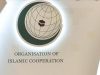 OIC welcomes Pakistan-India ceasefire, urges dialogue on Kashmir dispute