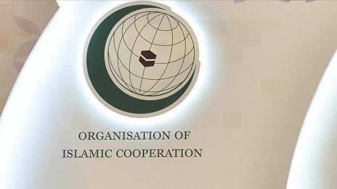 OIC welcomes Pakistan-India ceasefire, urges dialogue on Kashmir dispute