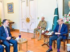 Pakistan committed to peace but will not tolerate violation of sovereignty: PM Shehbaz