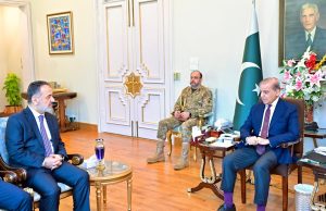 Pakistan committed to peace but will not tolerate violation of sovereignty: PM Shehbaz