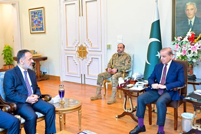 Pakistan committed to peace but will not tolerate violation of sovereignty: PM Shehbaz