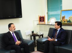 Pakistan, Türkiye strengthen strategic energy partnership, eye joint ventures in critical minerals