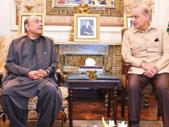PM Shehbaz, President Zardari discuss national issues, call for unity among allies