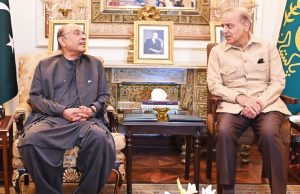 PM Shehbaz, President Zardari discuss national issues, call for unity among allies