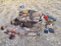 Seven terrorists killed in security operations in Balochistan
