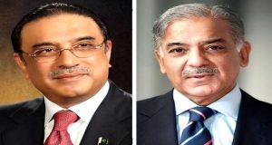President Zardari, PM Shehbaz call for united climate action on World Environment Day