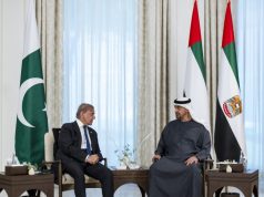Shehbaz Sharif meets Sheikh Mohamed bin Zayed, lauds key role in defusing regional tensions