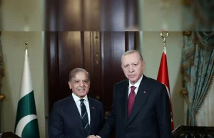 PM Shehbaz discusses regional crisis with Turkish president; condemns Israeli aggression