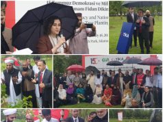 253 trees for 253 heroes: TIKA marks Turkiye’s democracy day with symbolic plantation at Fatima Jinnah Park