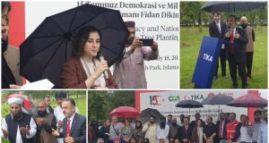253 trees for 253 heroes: TIKA marks Turkiye’s democracy day with symbolic plantation at Fatima Jinnah Park