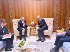 Pakistan, Türkiye call for urgent ceasefire, unimpeded humanitarian aid in Gaza