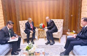 Pakistan, Türkiye call for urgent ceasefire, unimpeded humanitarian aid in Gaza