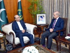 PM Shehbaz, President Zardari discuss security, economy & political stability