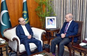 PM Shehbaz, President Zardari discuss security, economy & political stability