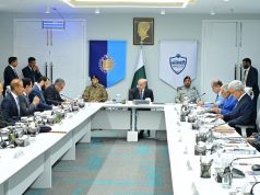 PM Shehbaz vows top-tier security for Chinese nationals amid expanding CPEC cooperation