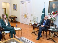 Shehbaz, UK envoy discuss boost in bilateral ties, welcome resumption of PIA flights