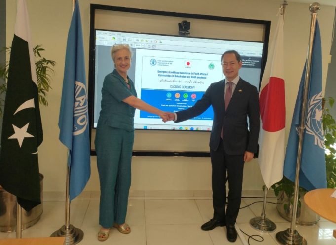 FAO, Japan empower over half a million flood-hit Pakistanis with resilient farming, livestock aid