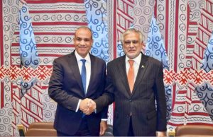 Pakistan, Egypt reaffirm strategic ties, call for urgent humanitarian access in Gaza