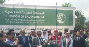 Rana Sanaullah thanks Saudi Arabia for emergency flood relief, lauds long-standing support