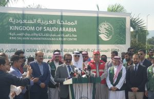 Rana Sanaullah thanks Saudi Arabia for emergency flood relief, lauds long-standing support