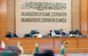 OIC foreign ministers condemn Israeli aggression, demand urgent action on Gaza crisis