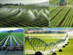 Uzbekistan leads Central Asia in water-saving drive, targets 15 bln cubic meters in annual savings by 2030