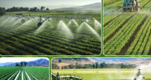 Uzbekistan leads Central Asia in water-saving drive, targets 15 bln cubic meters in annual savings by 2030