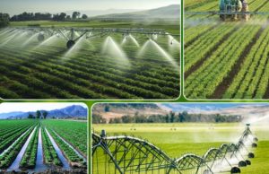 Uzbekistan leads Central Asia in water-saving drive, targets 15 bln cubic meters in annual savings by 2030