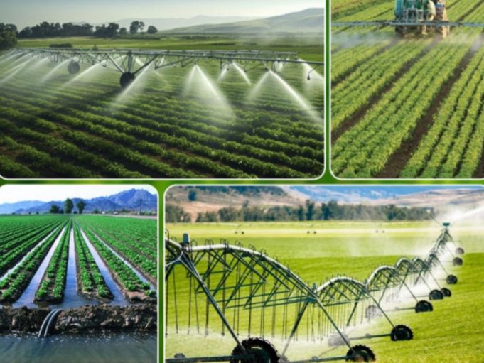 Uzbekistan leads Central Asia in water-saving drive, targets 15 bln cubic meters in annual savings by 2030