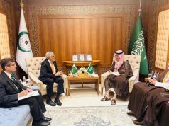 Pakistan, Saudi Arabia call for urgent ceasefire, humanitarian access in Gaza