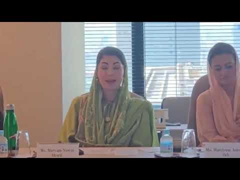CM Maryam Nawaz discusses strategic cooperation in EVs, transport during visit to Honda in Tokyo