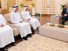 PM Shehbaz bids farewell to UAE ambassador, hails deepening bilateral ties
