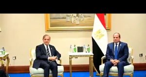 PM Shehbaz, Egyptian president hold bilateral talks on sidelines of Arab–Islamic Summit