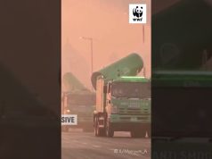 WWF-Pakistan urges shift to cleaner fuels, stronger emission controls as air pollution crisis deepens