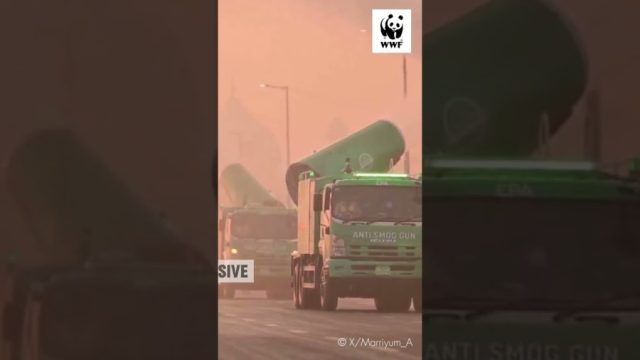 WWF-Pakistan urges shift to cleaner fuels, stronger emission controls as air pollution crisis deepens