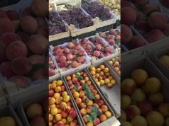 Colors, culture & cuisine: Uzbekistan diaries with Amira