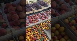 Colors, culture & cuisine: Uzbekistan diaries with Amira