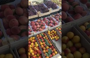 Colors, culture & cuisine: Uzbekistan diaries with Amira