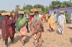 Saudi Arabia’s KSrelief distributes 180 tons of dates to flood-affected families in Punjab