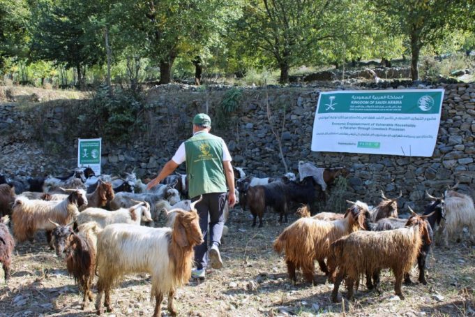 KSrelief completes first phase of livestock empowerment project, benefiting 7,250 people in Khyber Pakhtunkhwa