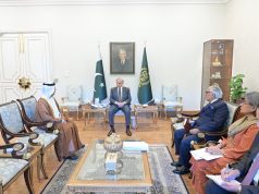 PM reaffirms commitment to deepening Pakistan–UAE ties, seeks expanded Emirati investment