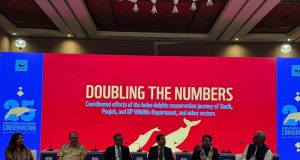 WWF-Pakistan marks 25 years of Indus River Dolphin Conservation, population nears 2,000