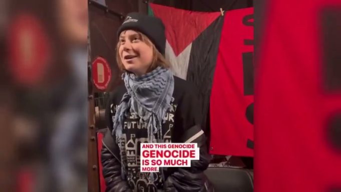 Greta Thunberg released on bail after arrest at pro-Palestinian protest in London