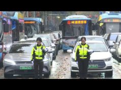 China marks National Memorial Day, honors victims of 1937 Nanjing Massacre