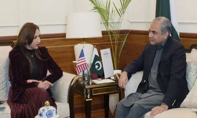Pakistan, US Agree to Step Up Cooperation Against Illegal Immigration and Visa Fraud